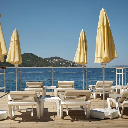 Koey Kaş