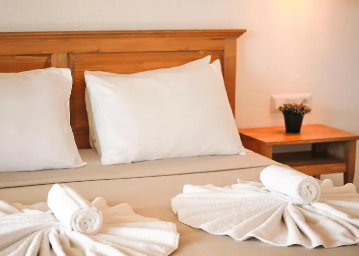 Koey فندق كاس